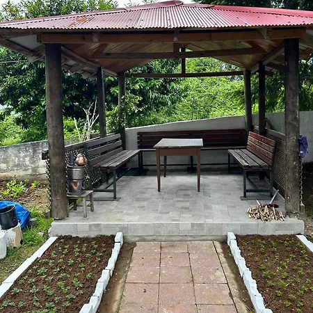 Tasli Apartment